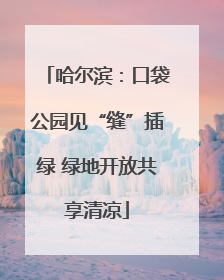 哈尔滨：口袋公园见“缝”插绿 绿地开放共享清凉