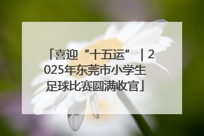 喜迎“十五运”｜2025年东莞市小学生足球比赛圆满收官