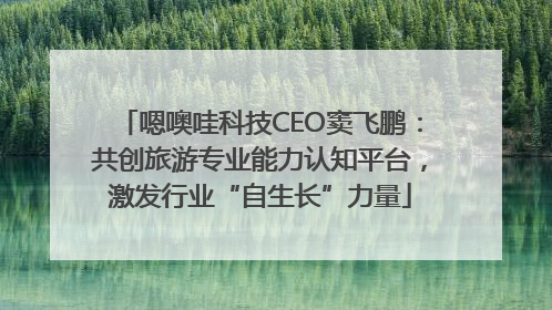 嗯噢哇科技CEO窦飞鹏：共创旅游专业能力认知平台，激发行业“自生长”力量