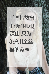 图片故事丨他们扎根深山 只为守护川金丝猴的家园