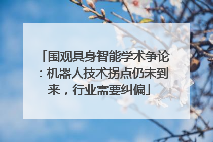 围观具身智能学术争论：机器人技术拐点仍未到来，行业需要纠偏