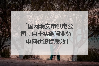 国网瑞安市供电公司：自主实施强业务 电网建设提质效