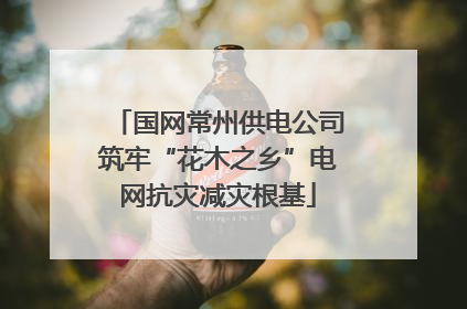 国网常州供电公司筑牢“花木之乡”电网抗灾减灾根基