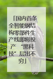 国内首条全智能钢结构零部件生产线即将投产 “黑科技”层出不穷