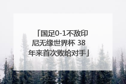 国足0-1不敌印尼无缘世界杯 38年来首次败给对手