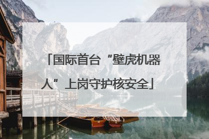 国际首台“壁虎机器人”上岗守护核安全