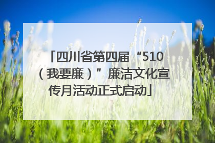 四川省第四届“510（我要廉）”廉洁文化宣传月活动正式启动