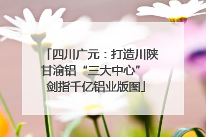 四川广元：打造川陕甘渝铝“三大中心” 剑指千亿铝业版图