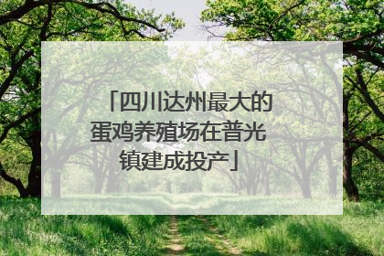 四川达州最大的蛋鸡养殖场在普光镇建成投产