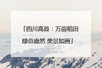 四川高县：万亩稻田绿意盎然 美景如画