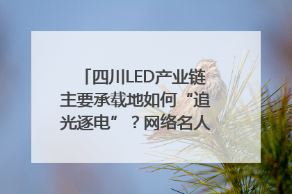 四川LED产业链主要承载地如何“追光逐电”？网络名人走进攀枝花找答案｜网络名人四川行