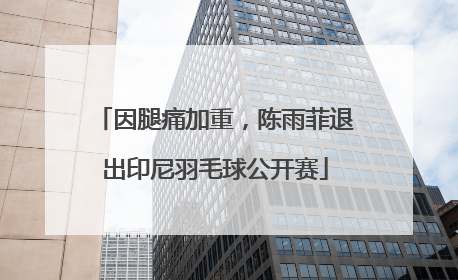 因腿痛加重，陈雨菲退出印尼羽毛球公开赛