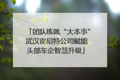 团队练就“大本事” 武汉霍尼特公司赋能头部车企智慧升级