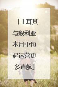 土耳其与叙利亚本月中旬起运营更多直航