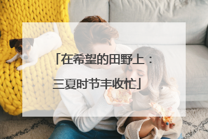 在希望的田野上：三夏时节丰收忙
