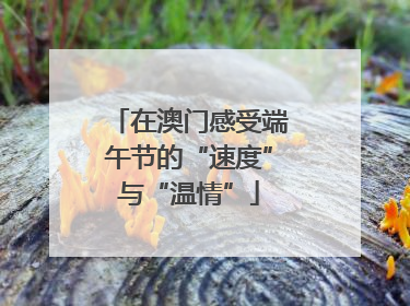 在澳门感受端午节的“速度”与“温情”