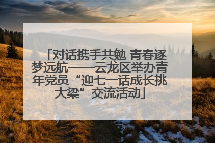 对话携手共勉 青春逐梦远航——云龙区举办青年党员“迎七一话成长挑大梁”交流活动