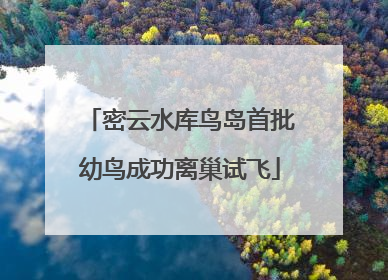 密云水库鸟岛首批幼鸟成功离巢试飞