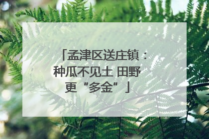 孟津区送庄镇：种瓜不见土 田野更“多金”