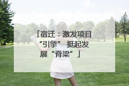 宿迁：激发项目“引擎” 挺起发展“脊梁”