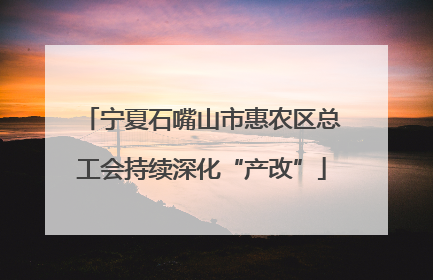 宁夏石嘴山市惠农区总工会持续深化“产改”