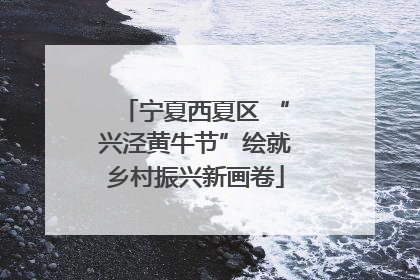 宁夏西夏区 “兴泾黄牛节”绘就乡村振兴新画卷