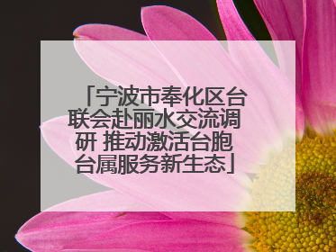 宁波市奉化区台联会赴丽水交流调研 推动激活台胞台属服务新生态