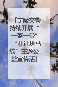 宁陵交警持续开展“一盔一带”“礼让斑马线”主题公益宣传活