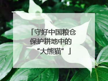 守好中国粮仓 保护耕地中的“大熊猫”