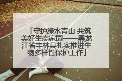 守护绿水青山 共筑美好生态家园——黑龙江省丰林县扎实推进生物多样性保护工作