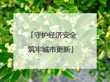 守护经济安全 筑牢城市更新