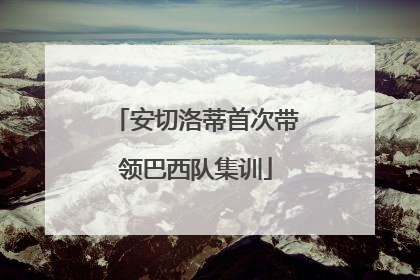 安切洛蒂首次带领巴西队集训
