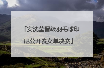 安洗莹晋级羽毛球印尼公开赛女单决赛