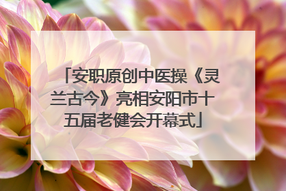 安职原创中医操《灵兰古今》亮相安阳市十五届老健会开幕式