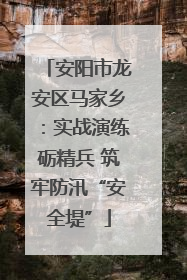 安阳市龙安区马家乡：实战演练砺精兵 筑牢防汛“安全堤”