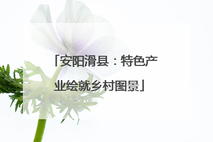 安阳滑县：特色产业绘就乡村图景