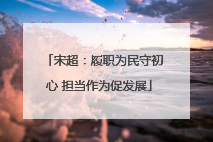 宋超：履职为民守初心 担当作为促发展