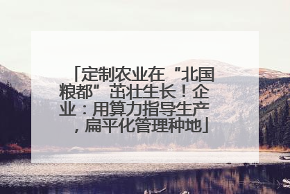 定制农业在“北国粮都”茁壮生长！企业：用算力指导生产，扁平化管理种地