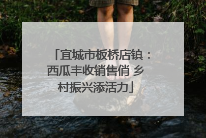 宜城市板桥店镇：西瓜丰收销售俏 乡村振兴添活力