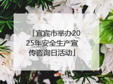 宜宾市举办2025年安全生产宣传咨询日活动