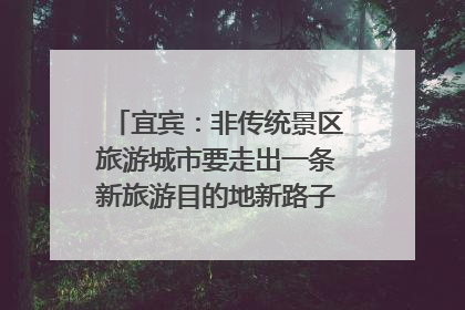宜宾：非传统景区旅游城市要走出一条新旅游目的地新路子｜话锦绣·说安逸