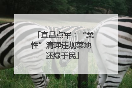 宜昌点军：“柔性”清理违规菜地 还绿于民