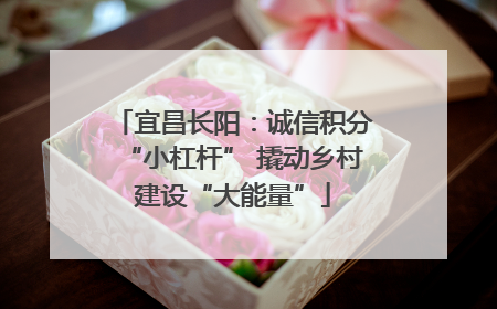 宜昌长阳：诚信积分“小杠杆” 撬动乡村建设“大能量”