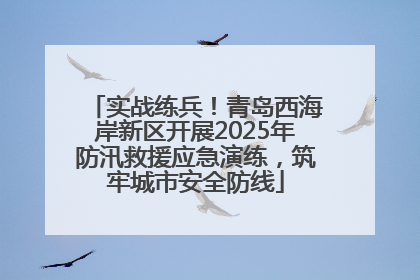 实战练兵！青岛西海岸新区开展2025年防汛救援应急演练，筑牢城市安全防线