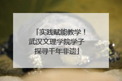 实践赋能教学！武汉文理学院学子探寻千年非遗