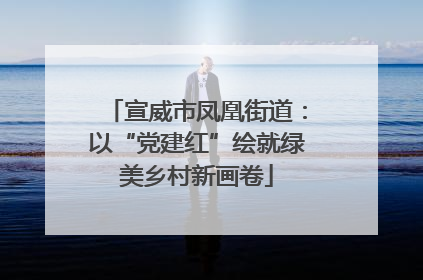 宣威市凤凰街道：以“党建红”绘就绿美乡村新画卷