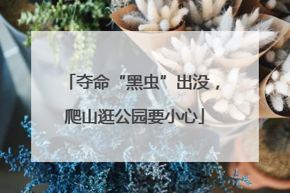 夺命“黑虫”出没，爬山逛公园要小心