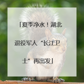 夏季净水！湖北退役军人“长江卫士”再出发