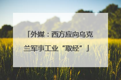 外媒：西方应向乌克兰军事工业“取经”