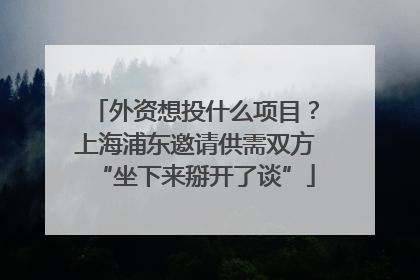 外资想投什么项目？上海浦东邀请供需双方“坐下来掰开了谈”